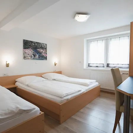 Park Hotel&gästehaus Hotel 3*