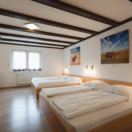Hotel Park & Gaestehaus 3*