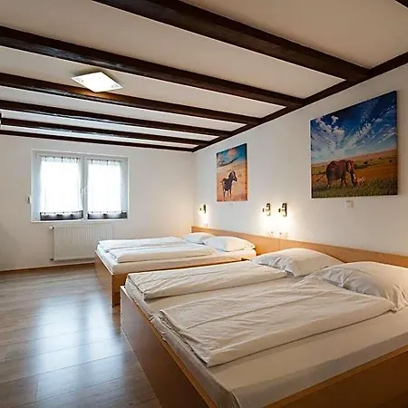 호텔 Park & Gaestehaus 러스트