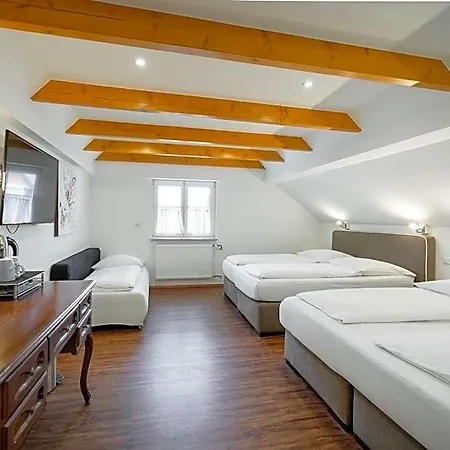 Park & Gaestehaus 3*