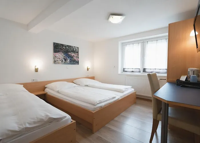 Park & Gaestehaus Hotel 3*