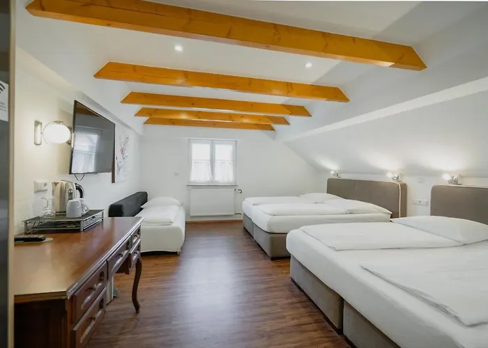 Hotel Park & Gaestehaus 3*