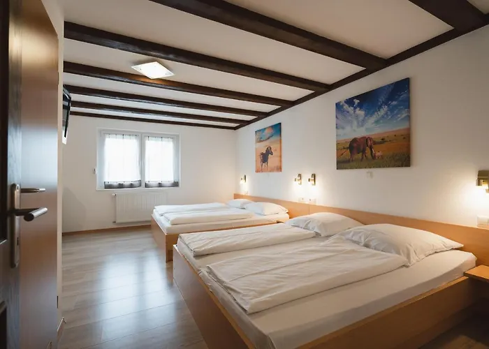 Hotel Park & Gaestehaus 3*