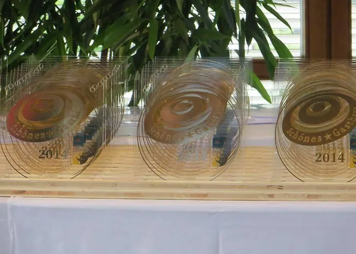 Park & Gaestehaus Hotel Rust